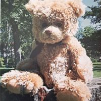 Kansainvälinen nallepäivä 2007.jpg